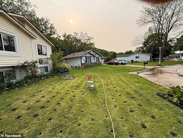 The ordinance labeled his sunflower farm a 'crop,' which Bank disputes, arguing that he doesn't harvest, consume, or sell the seeds. Pictured: His garden before he planted the flowers