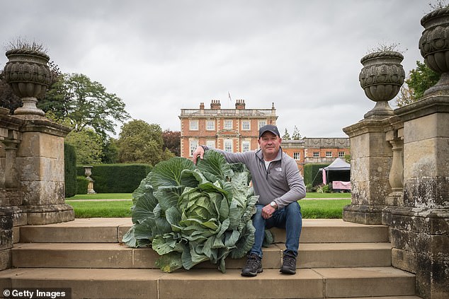 John beamed as posed next to his winning cabbage at a weight of 55 lbs following judging of the giant vegetables at the Harrogate Autumn flower show