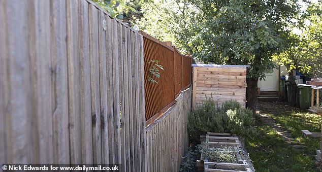 Property expert Jonathan Rolande, the founder of House Buy Fast, said: 'Disputes with neighbours should be avoided whenever possible, as they can have a serious impact on both the enjoyment and the value of a property'