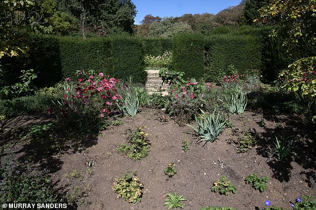 They say they are now devastated by the state the gardens have been left in since they departed