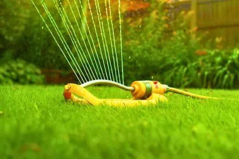 Picture of sprinkler watering the lawn