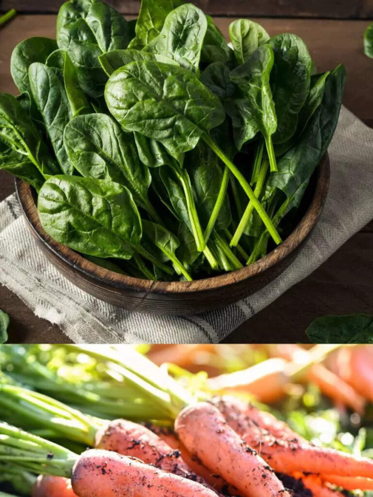 6 winter vegetables that should be sown now in balcony garden for winter harvest 6 winter vegetables that should be sown now in balcony garden for winter harvest