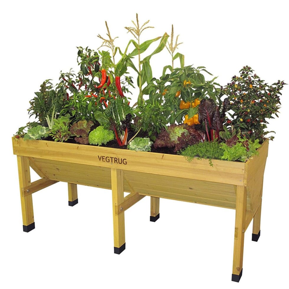 VegTrug raised planter