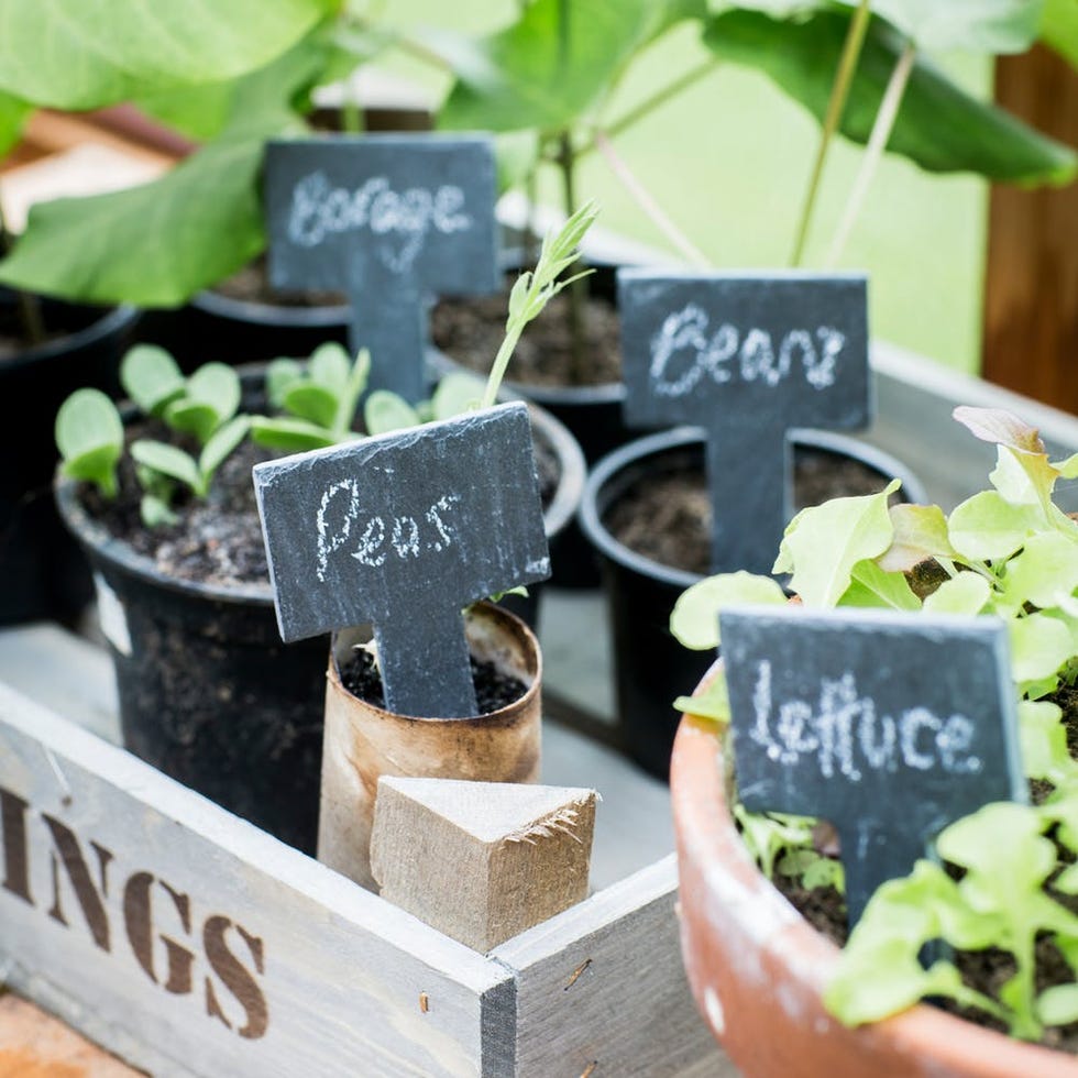 Greenhouse tags