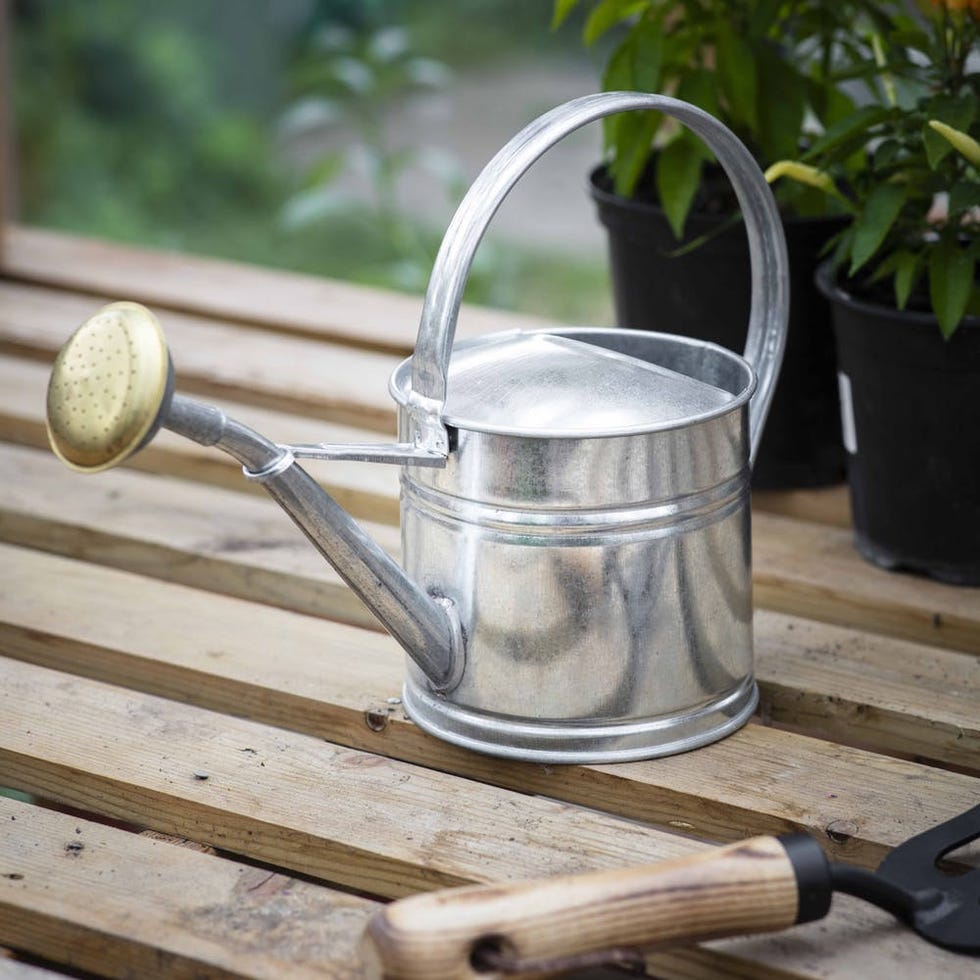 Galvanised Watering Can