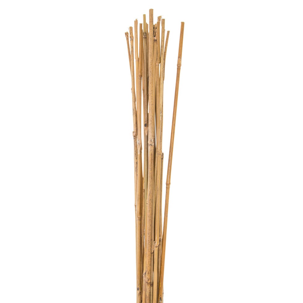 Bamboo canes
