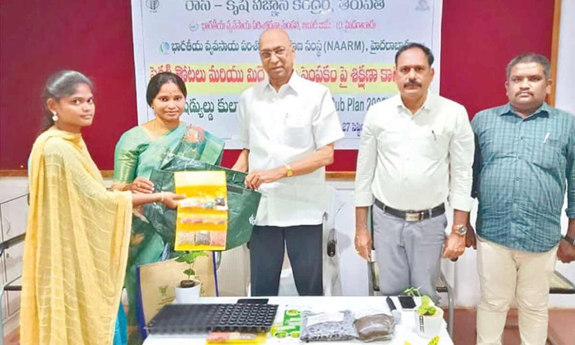 Nutri or terrace gardening gives chemical-free food Nutri or terrace gardening gives chemical-free food