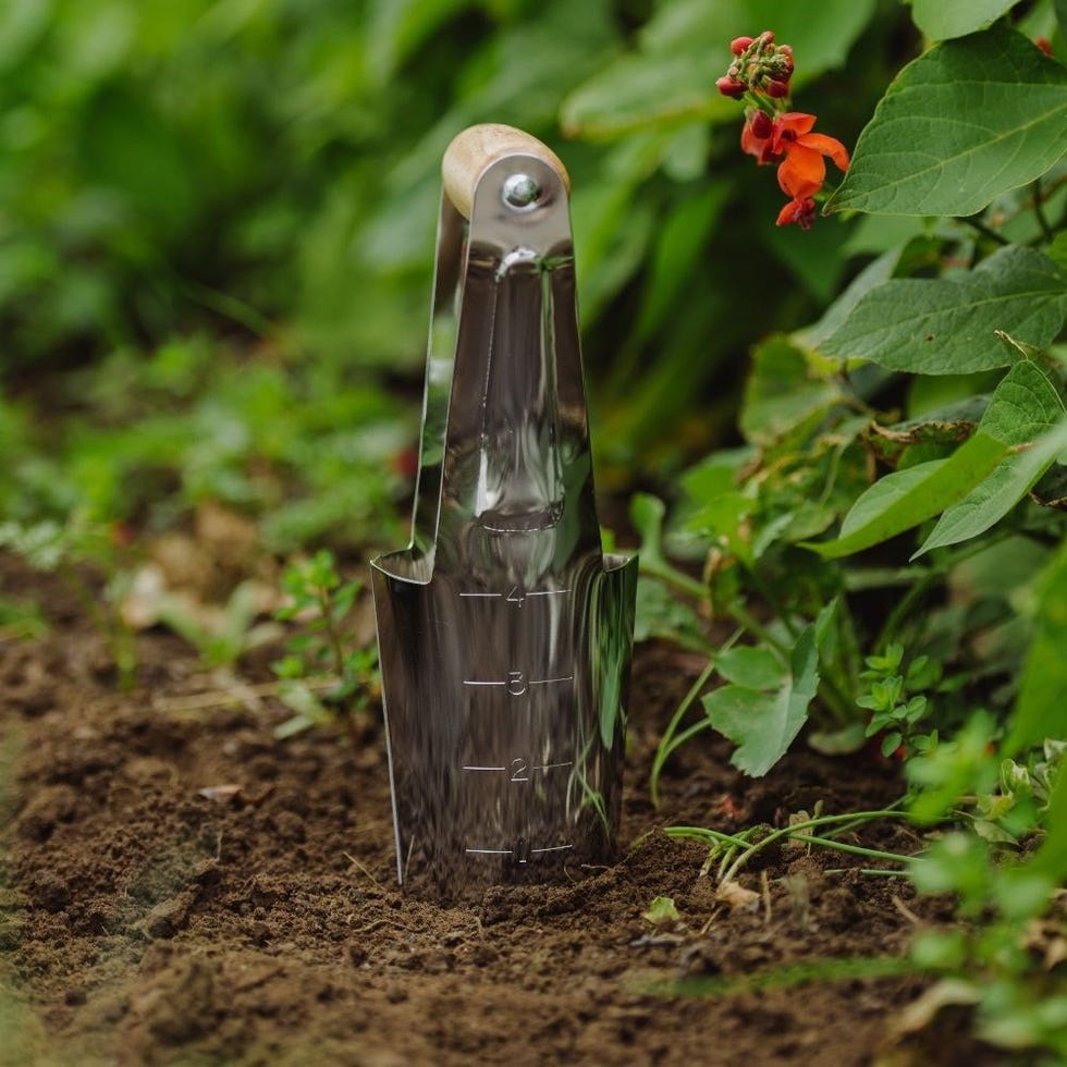 Hand bulb planter
