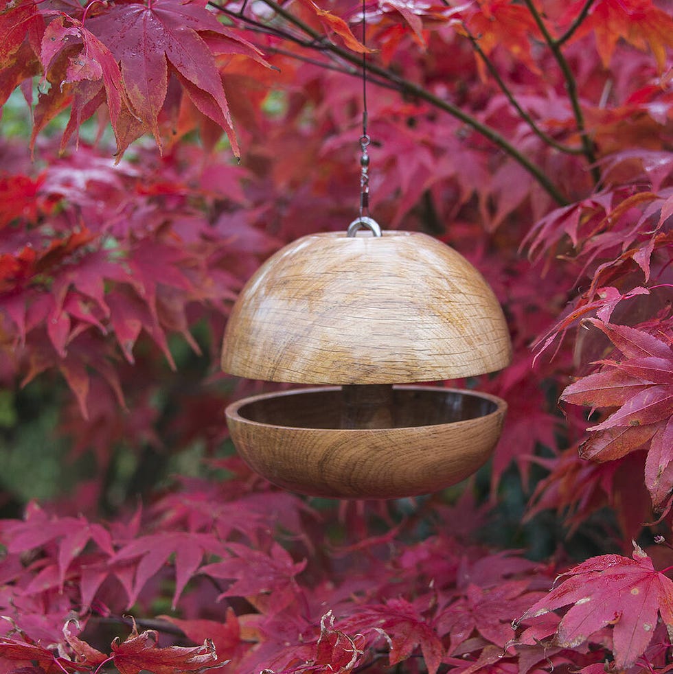 Oak 'Applecore' Bird Feeder