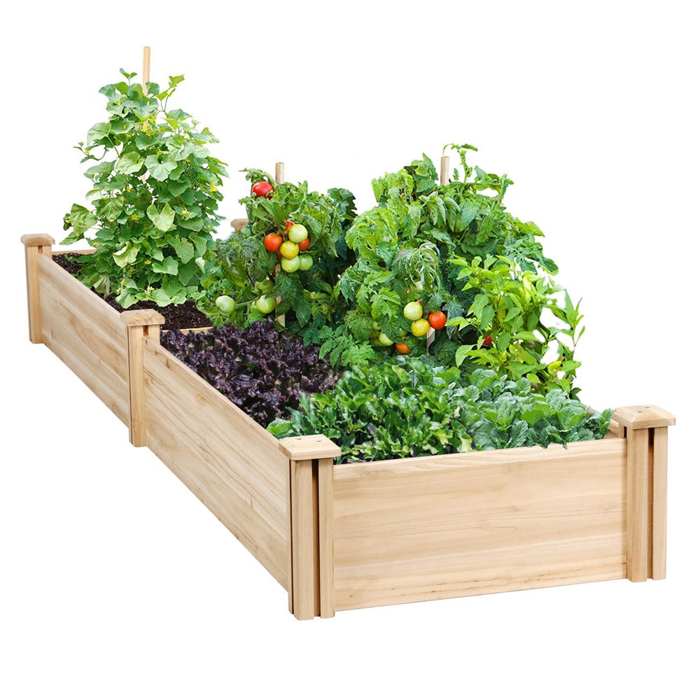 Yaheetech 8×2ft Wooden Raised Garden Bed 