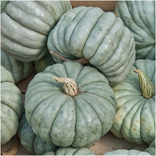 3 Variety Specialty Pumpkin Collection Seeds