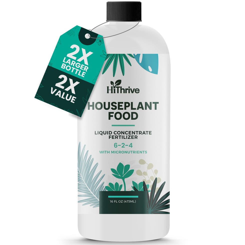 All-Purpose Indoor Plant Fertilizer