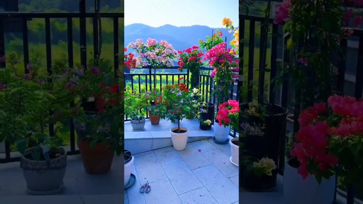 Unique Garden Decor Trends 🌸🌱#gardning #naturephotography #oasis #gardendecor #homedecor #plants