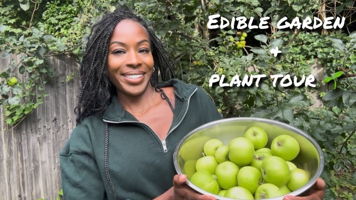 🌿 Indoor Jungle Plant Room Tour + Outdoor Edible Garden | Monstera, Pothos, Peace Lily & More! 🌿 Indoor Jungle Plant Room Tour + Outdoor Edible Garden | Monstera, Pothos, Peace Lily & More!