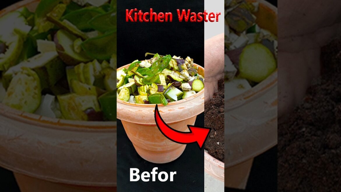 Easy way to grow bougainvillea using leaf & flower || #highlights #shortvideo