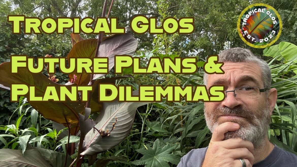 Autumn Plans In A UK Tropical Garden Autumn Plans In A UK Tropical Garden