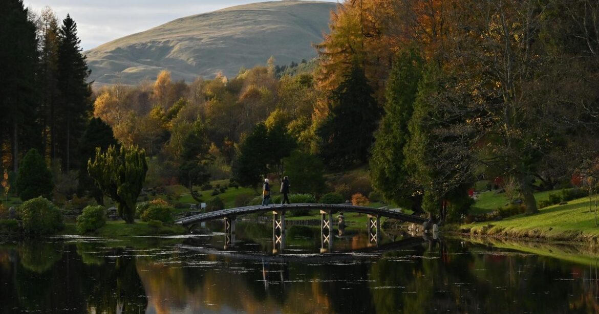 Experience colours of autumn at one of a kind Japanese garden in Scotland Ipso logo