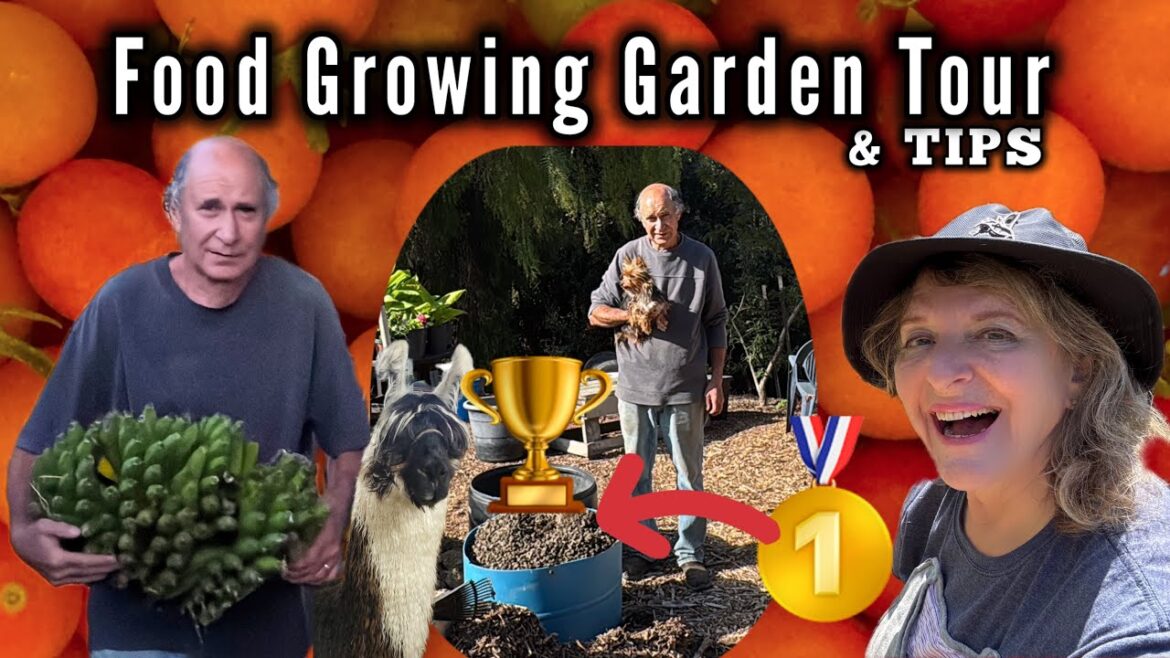 Garden Tour GROWING Lots of Tomatoes Peppers Zucchini Herbs Watermelon Flowers Container Gardening