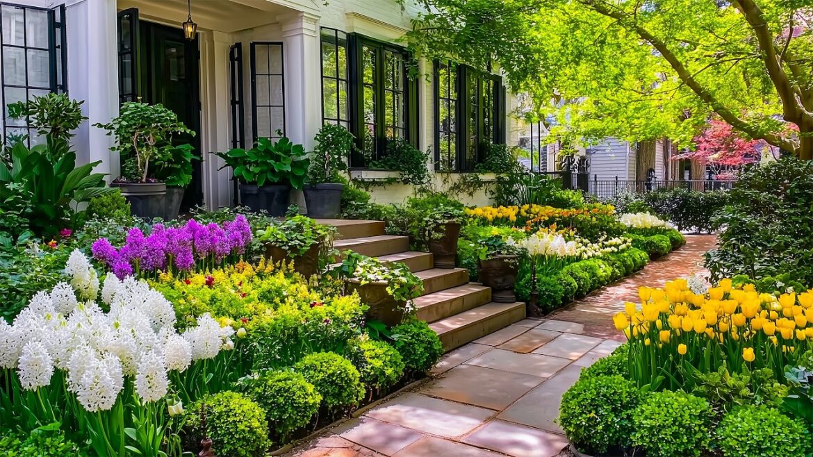 Summer Cottage Garden Glory 🌱 Beautiful Front Yard Ideas & Peaceful Porches with Relaxing Music