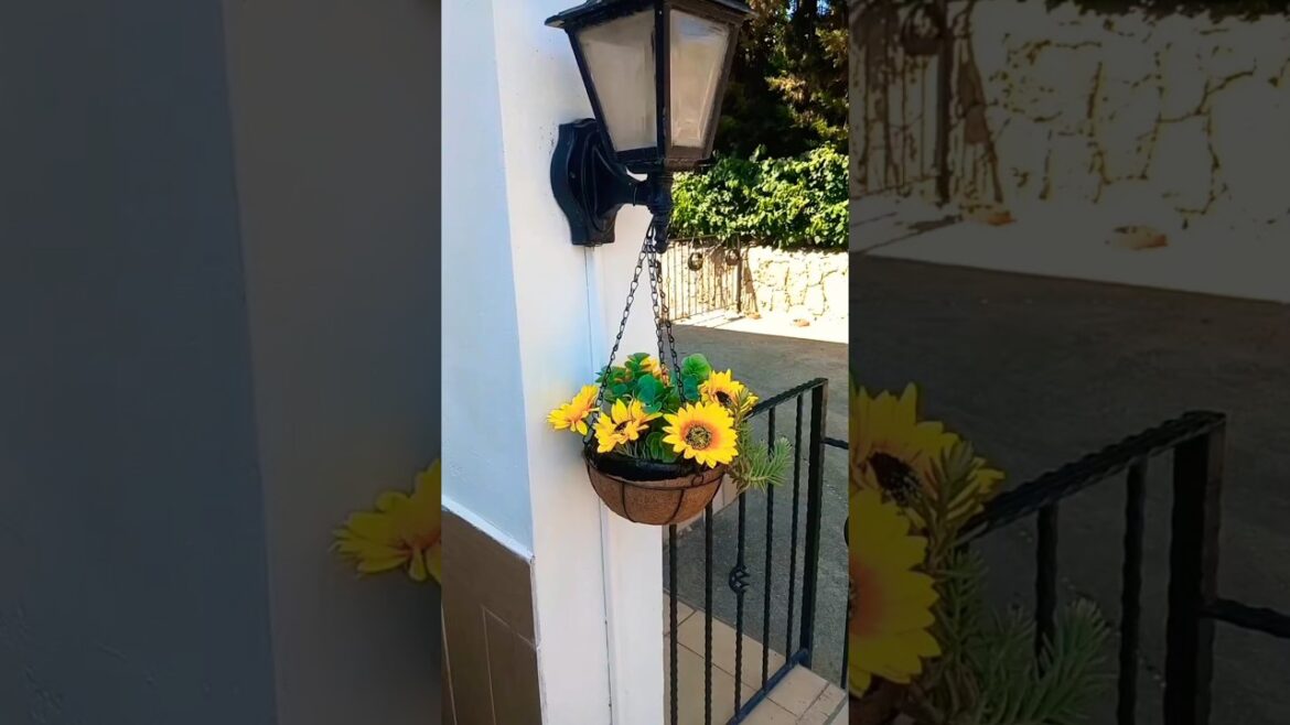 Garden Design 🤩 #happy #life #lifestyle #travel #garden #gardening #dog #cute #fun #summer #reels