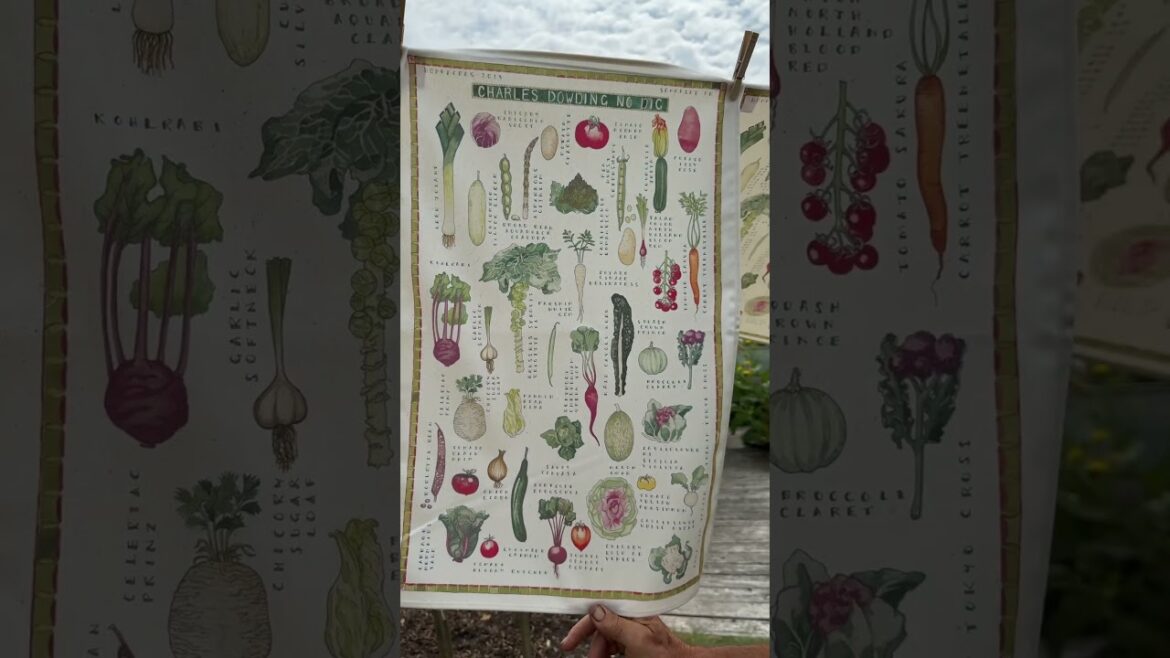 🥕 No Dig Tea Towel – Beautiful Vegetable Art on Organic Cotton! 🥕 No Dig Tea Towel – Beautiful Vegetable Art on Organic Cotton!