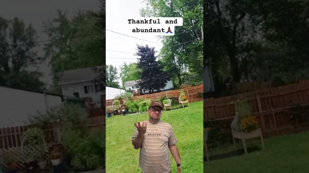 Harvest!!! #gardening #ihavethisthingwithplants