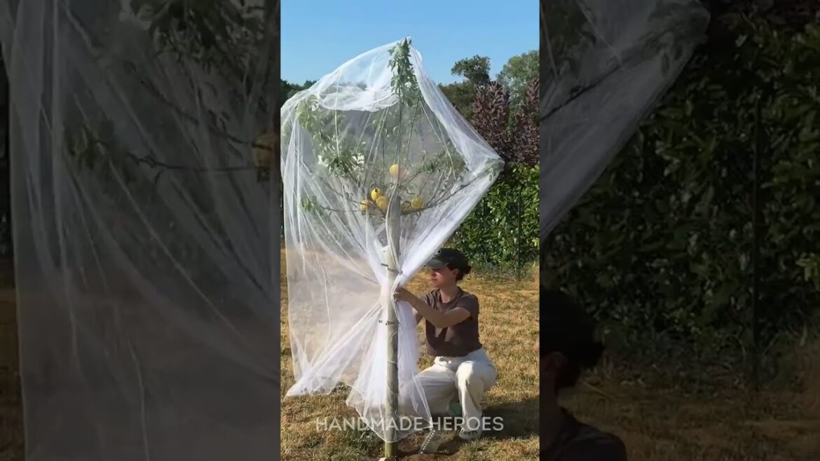 Best Plant Hacks to Make Your Garden Thrive Best Plant Hacks to Make Your Garden Thrive