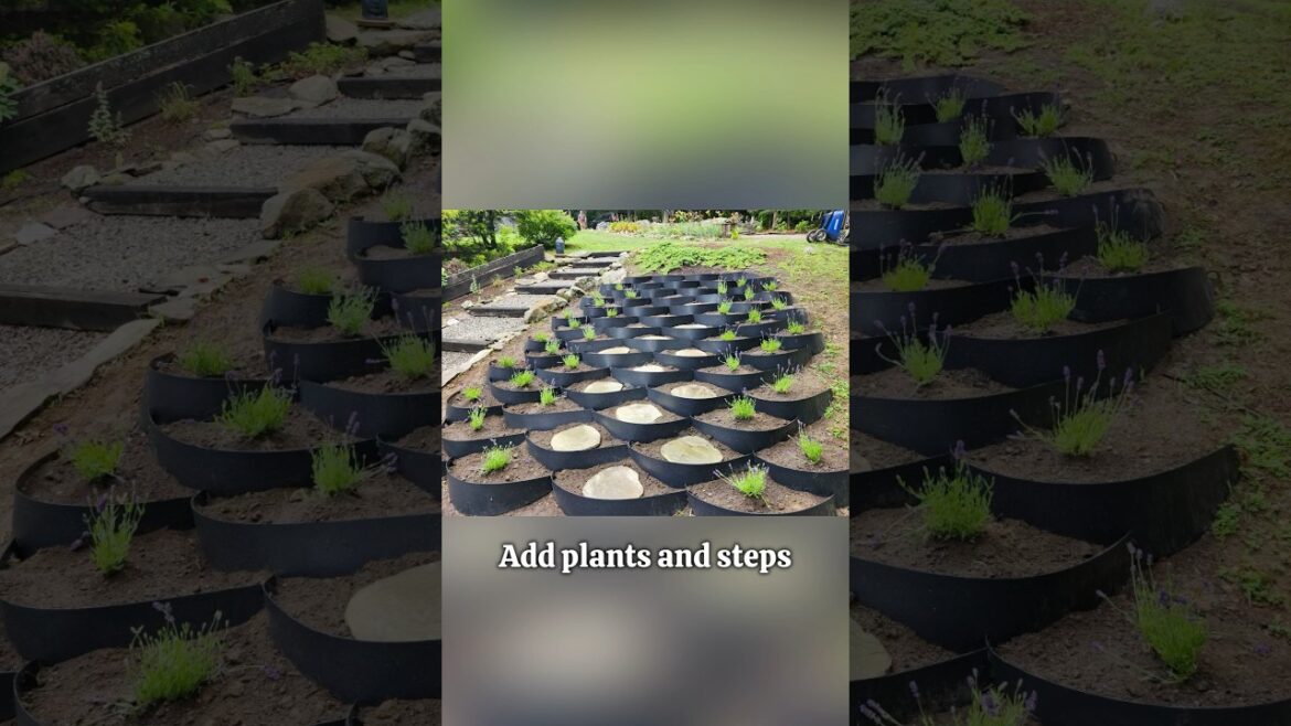 Plant on a Slope the Smart Way | Dirt LockerĀ® Erosion Control Plant on a Slope the Smart Way | Dirt LockerĀ® Erosion Control