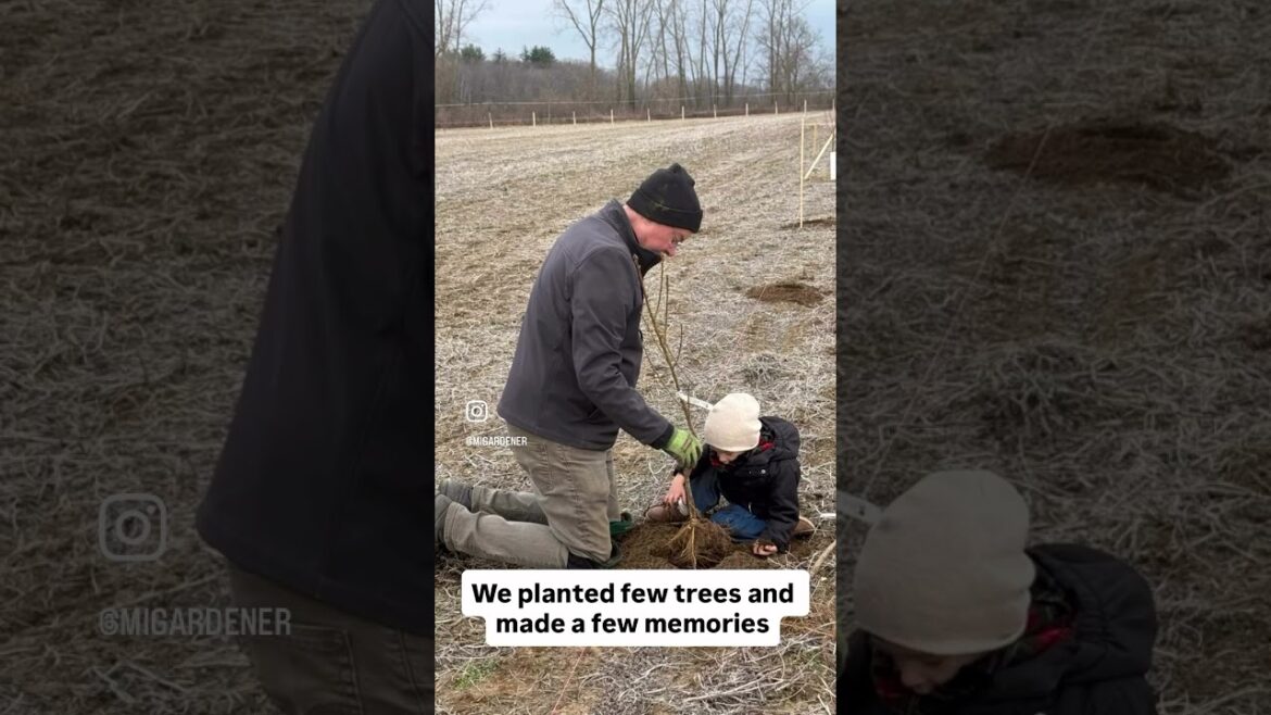 It Was Just a 40 Acre Soybean Field Until it Wasn’t #shorts #gardening #farming
