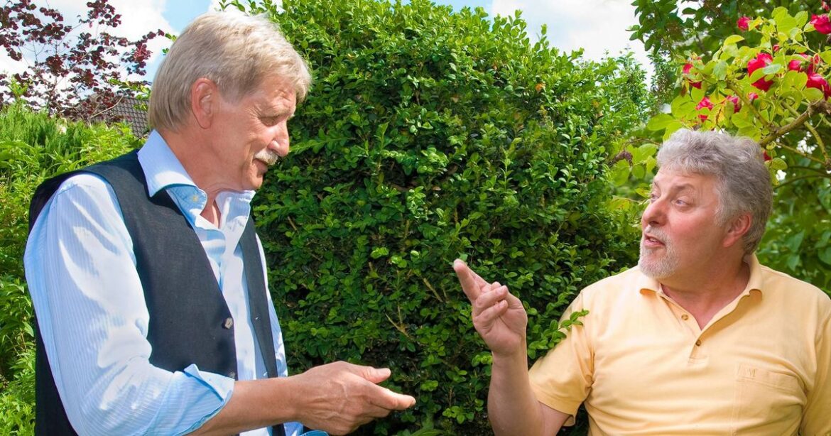 Can I cut down neighbour’s trees if blocking my light? Gardeners all given exact same answer by 4 experts Ipso logo