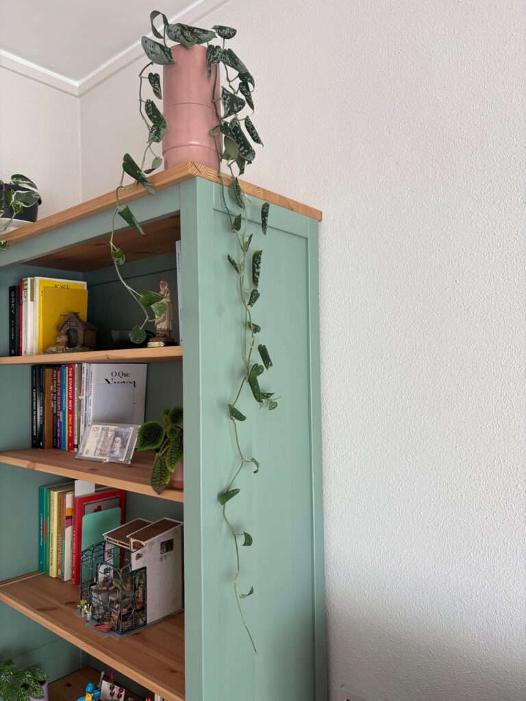 Don’t know what happen with plant