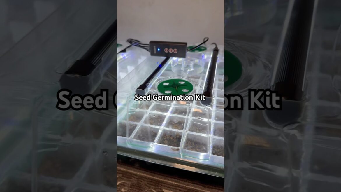 Seed Germination Kit #seedstarting #garden #jerricabrown #seedgermination
