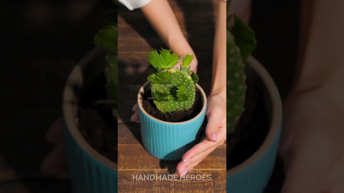 Gardening Hacks That Help Fight Climate Change 🌱✨ Gardening Hacks That Help Fight Climate Change 🌱✨