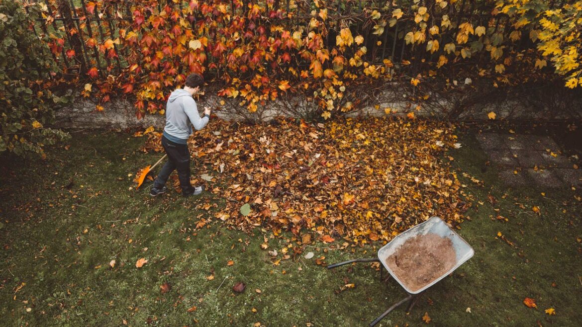 The secret to a clean yard this fall? These 9 yard tools The secret to a clean yard this fall? These 9 yard tools