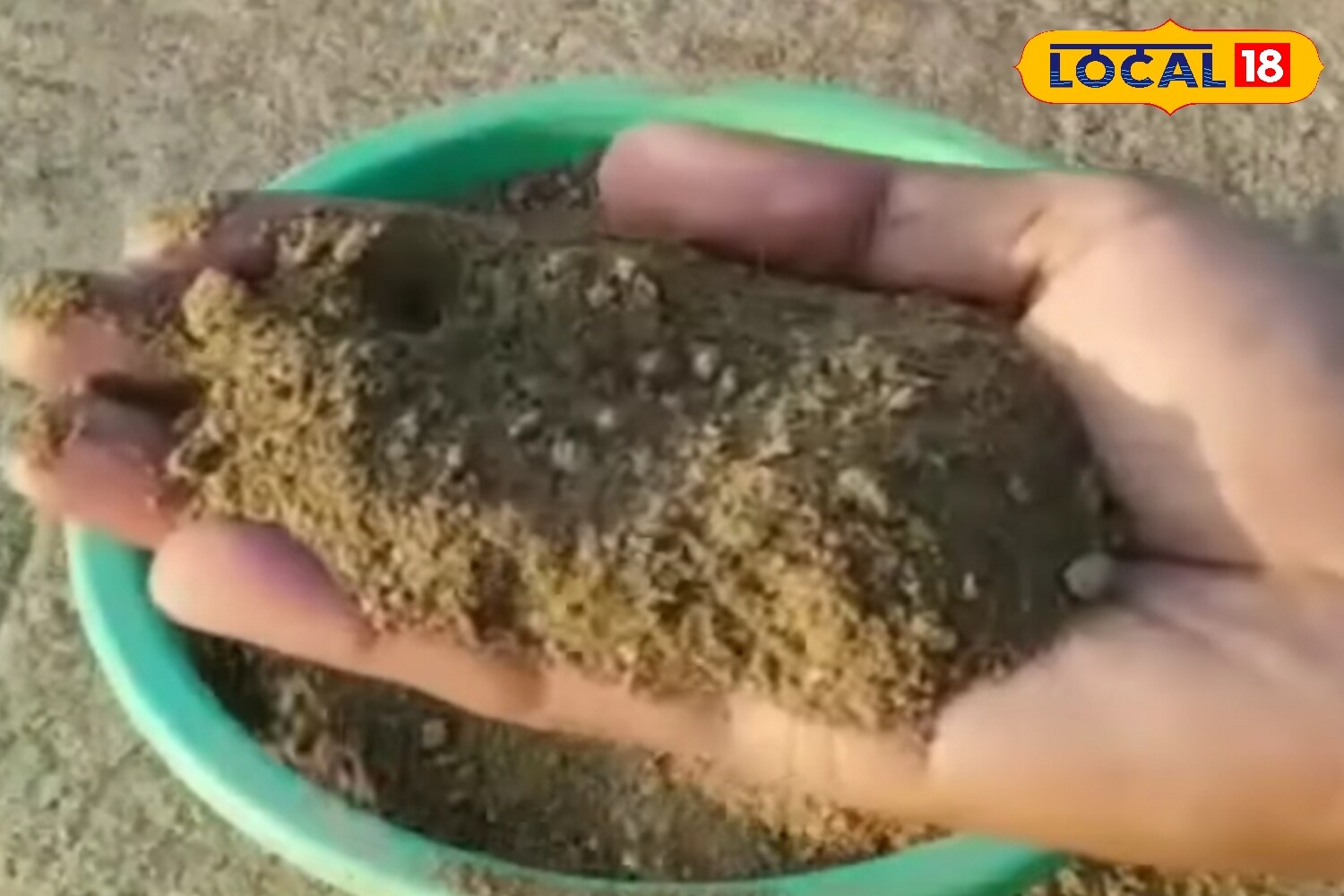 Air and light are equally important during the rainy season. Place plants where they receive good ventilation and mild sunlight, especially morning light. If kept in balconies, move pots slightly inward to protect them from direct rain. Since growth can slow due to limited sunlight, positioning them well ensures better health. (News18 Hindi)