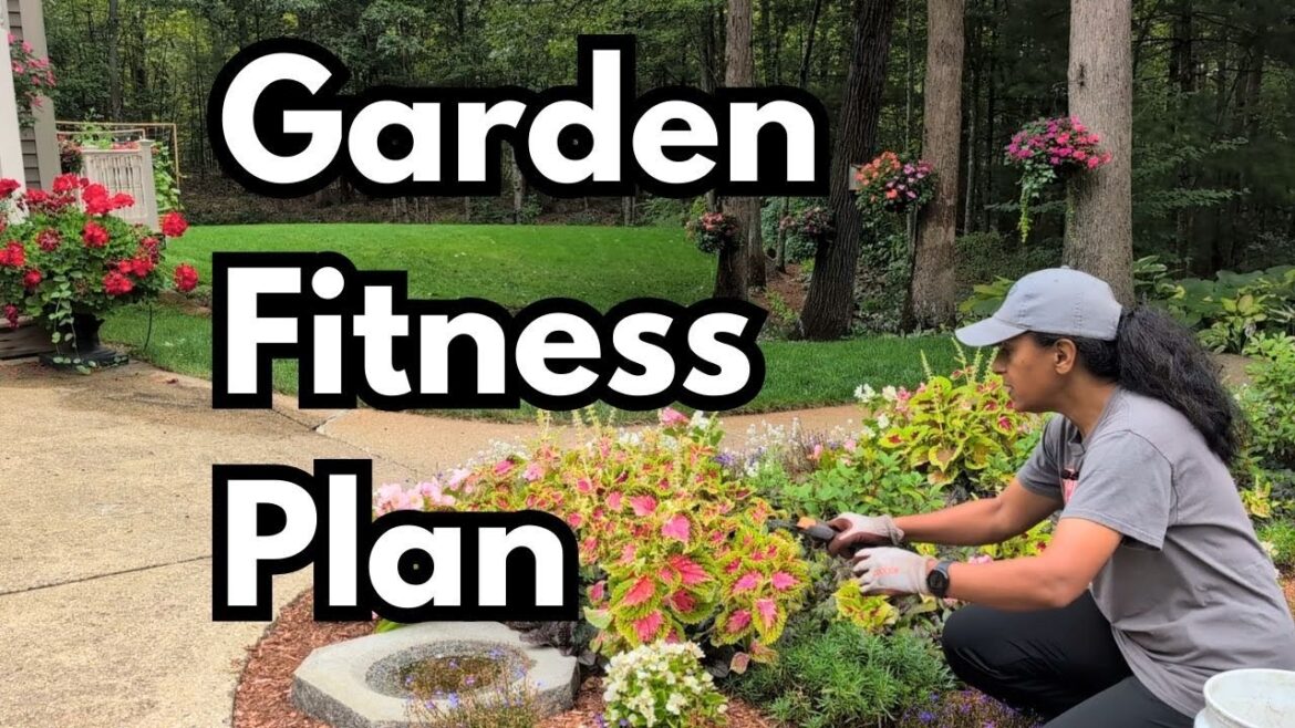 ✅ Deadheading Coleus Veronica Speedwell | Potting Up Sea Holly | Dahlia Tubers | Gardening Vlog ✅ Deadheading Coleus Veronica Speedwell | Potting Up Sea Holly | Dahlia Tubers | Gardening Vlog