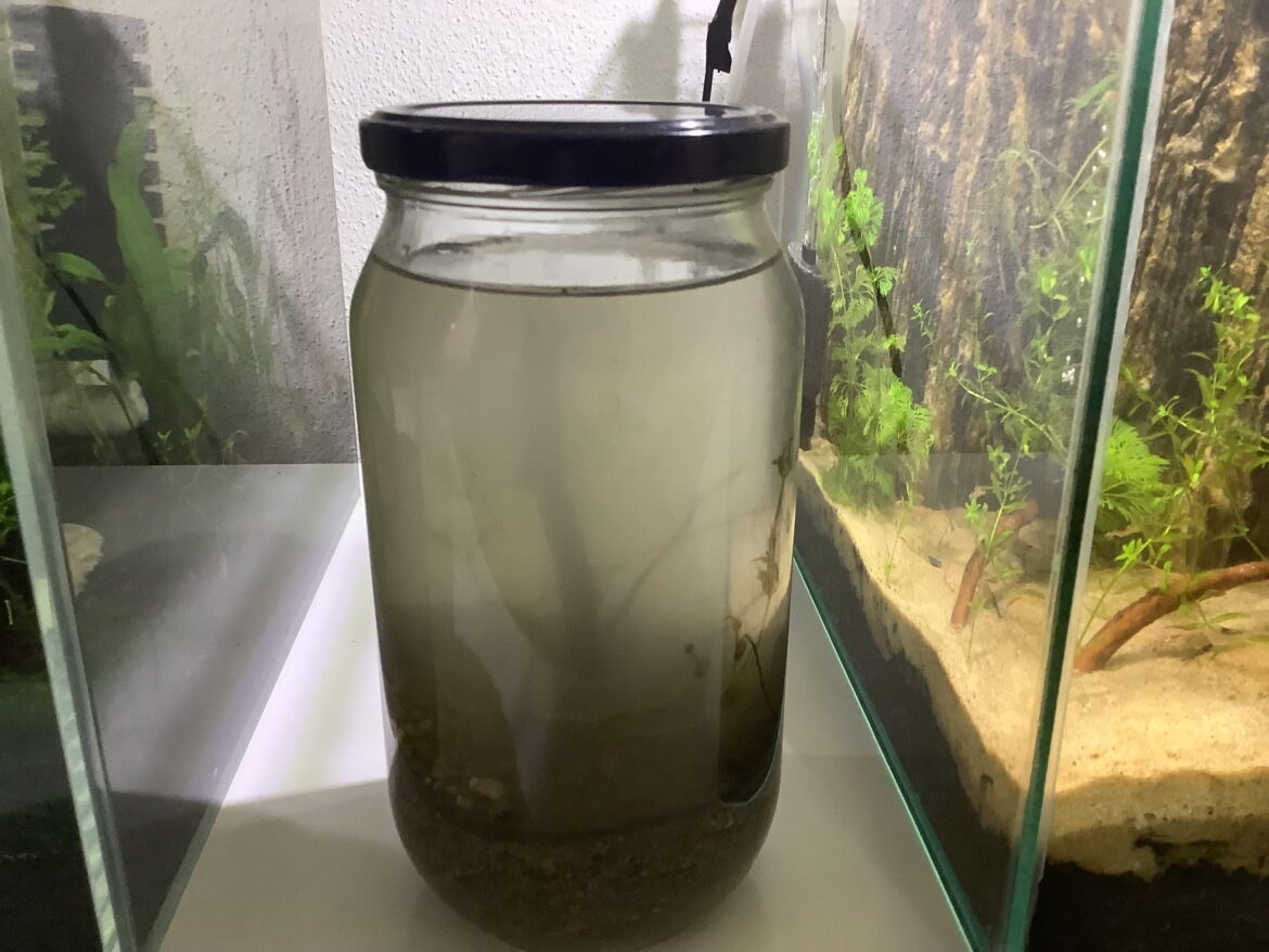 Ecosphere looks like the subreddits icon