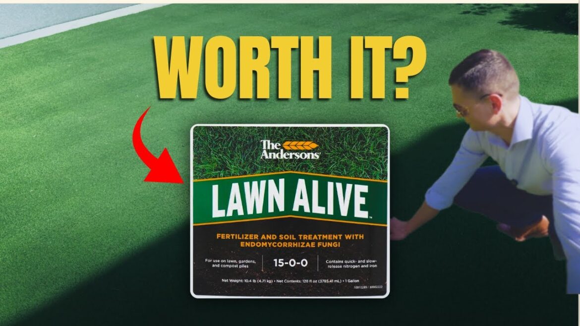 Lawn Alive: Can Andersons’ liquid fertilizer fix brown grass in 7 days?