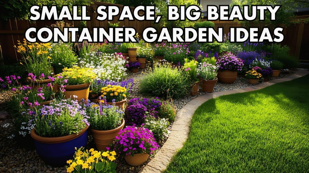 🌸 Small Space, Big Beauty: 🌼 Gorgeous Container Garden Ideas for Tiny Backyards!