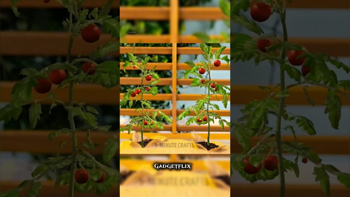 10 Mind-Blowing Gardening Hacks That Actually Work! 🌻#gardenhacks #planthacks #shorts