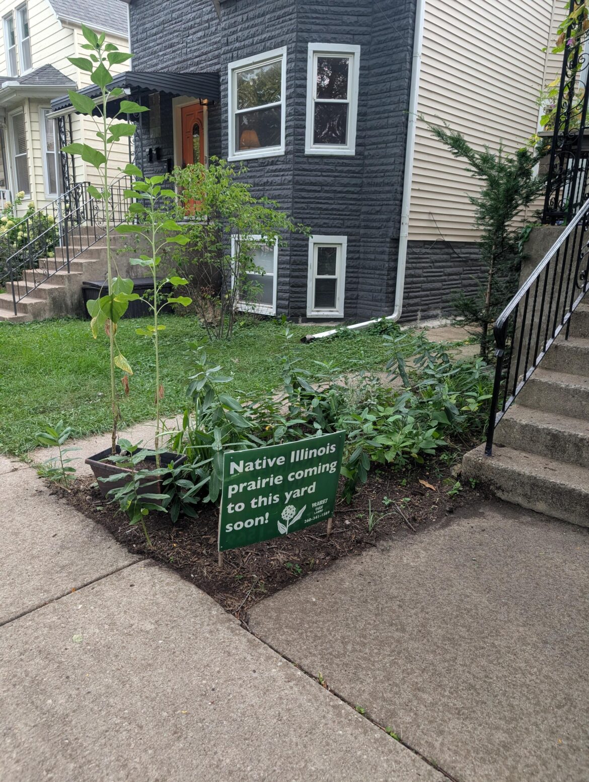Walking in Chicago - love to see it