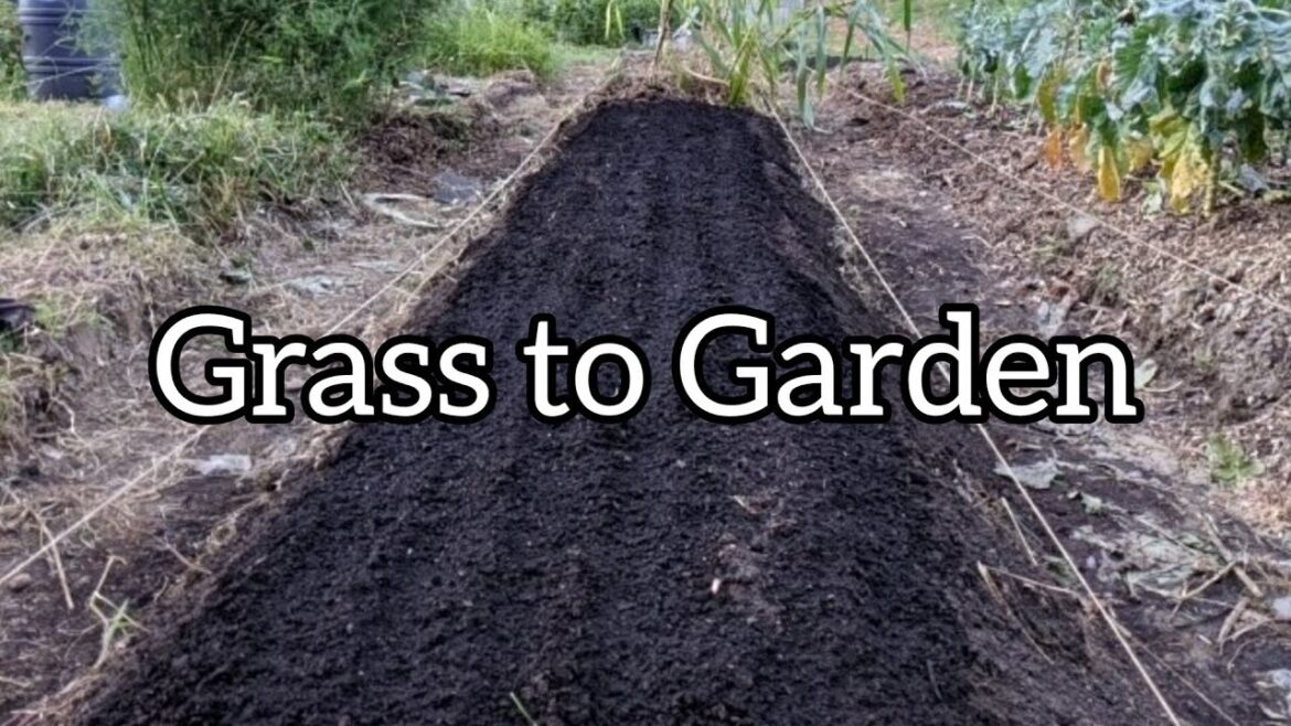 How I’m Building New Garden Beds How I'm Building New Garden Beds