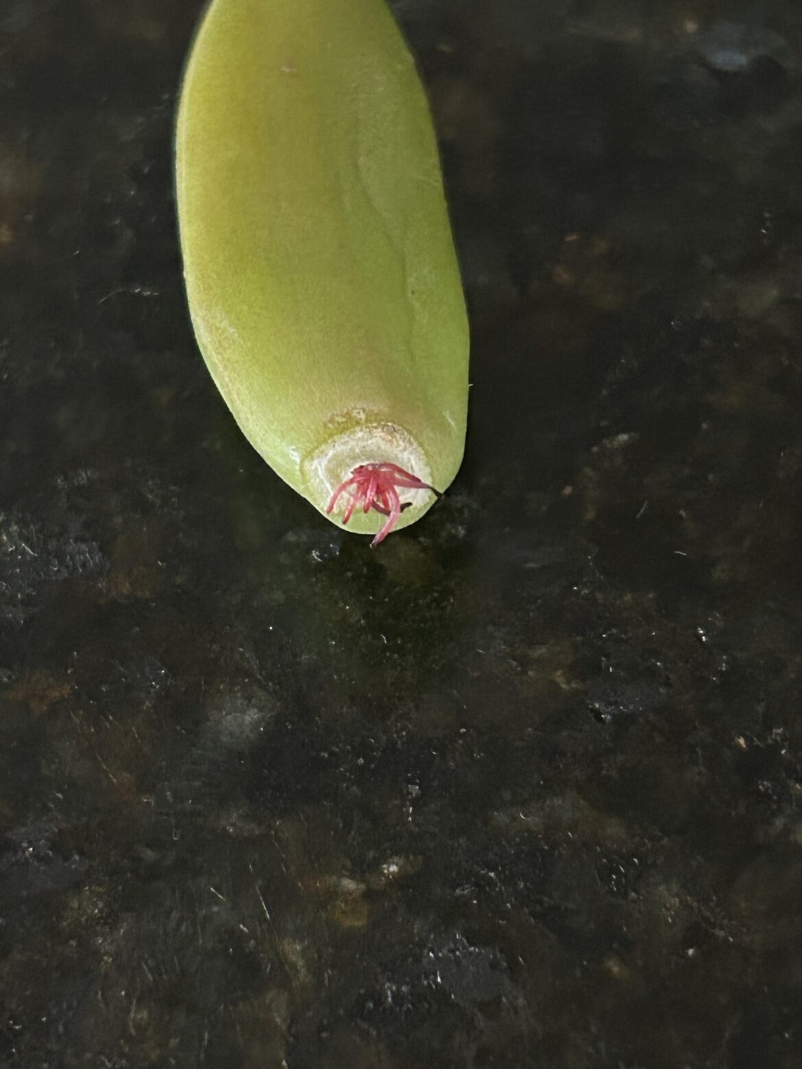What is this? And also where do I go from here? What is this? And also where do I go from here?