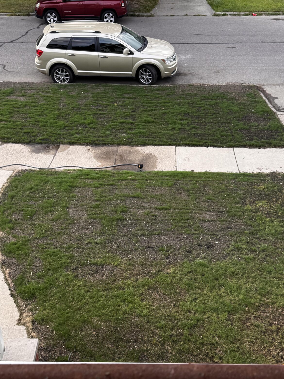 TTTF Lawn Renovation. Did i do something wrong?