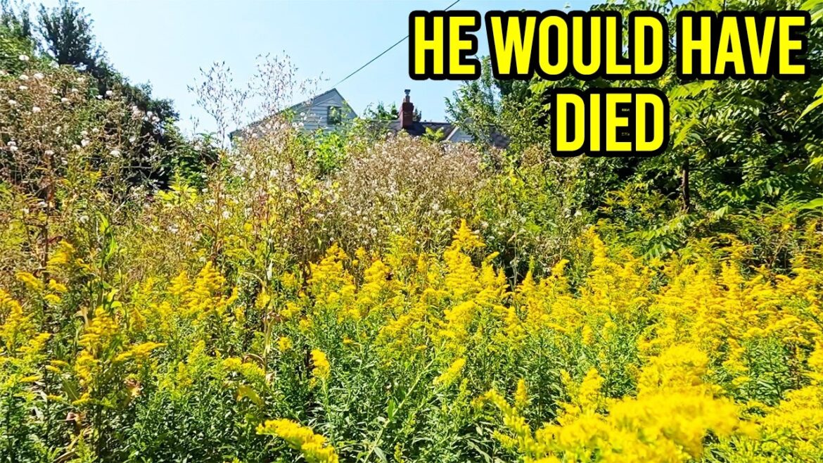 Nobody would help this Family with this Terrifying yard, now we know why!
