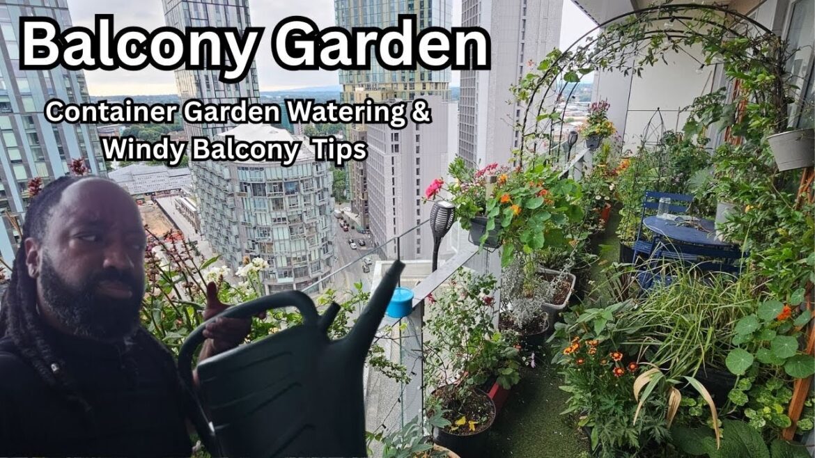 Container Garden Watering & Windy Balcony Garden Tips