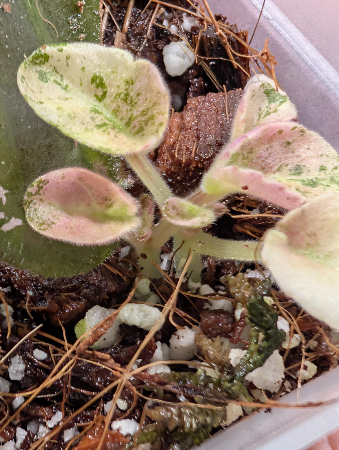 Propagation question