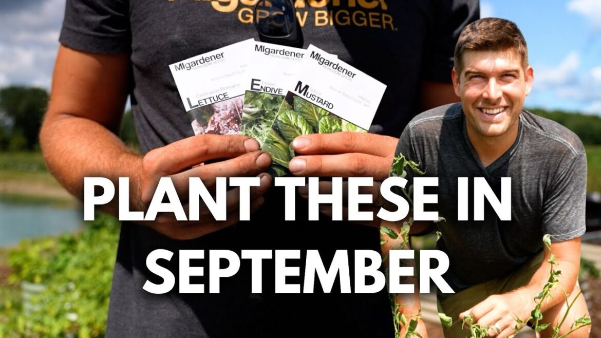 Every Crop We are Planting NOW in September!