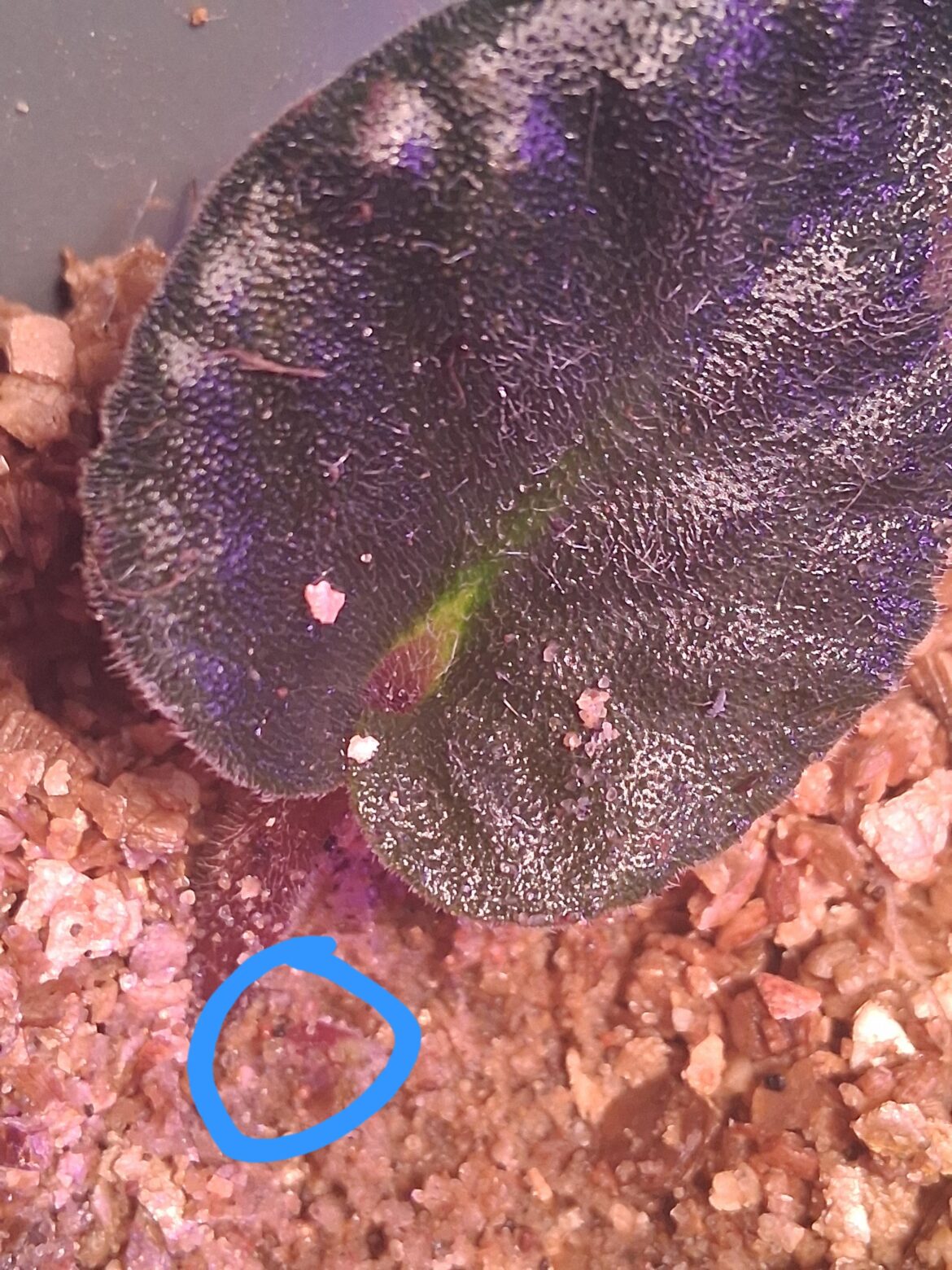 Success!! I think? What next? Success!! I think? What next?