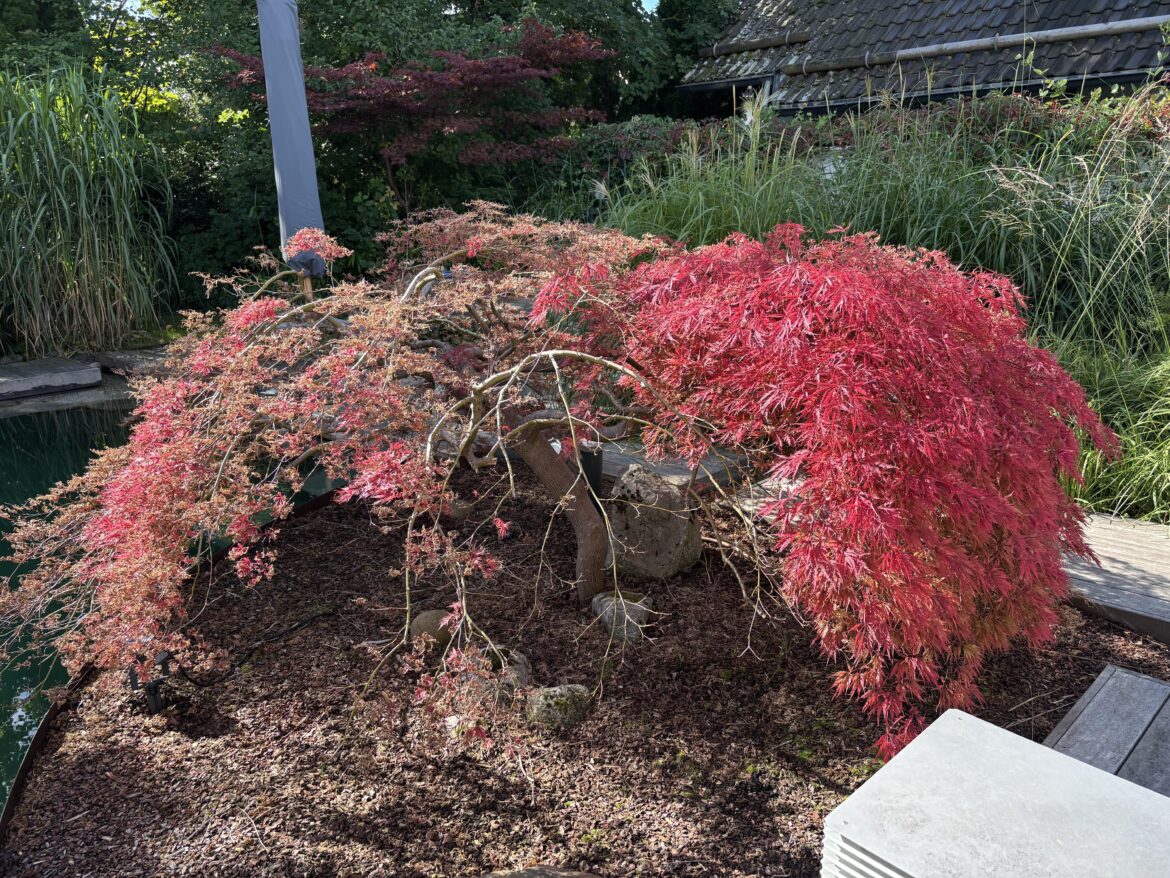 Can someone tell whats going on here?